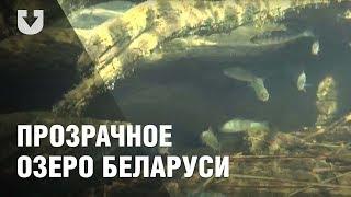 Самое прозрачное озеро Беларуси