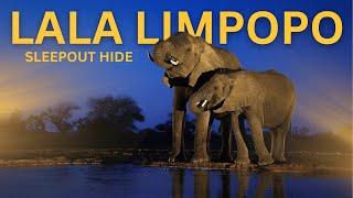 I spend 2 nights at the Lala Limpopo Sleepout Hide in Mashatu!