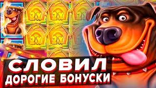СЛОВИЛ ДОРОГИЕ БОНУСКИ И ВЫШЕЛ В ПЛЮС В СЛОТЕ The Dog House / (ДОРОГИЕ БОНУСКИ)