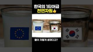 한국의 1티어급 천연자원