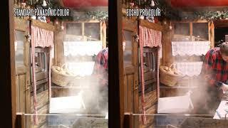 EOSHD Pro Color for Panasonic - Sample videos shot on the GH4, G85 and LX100