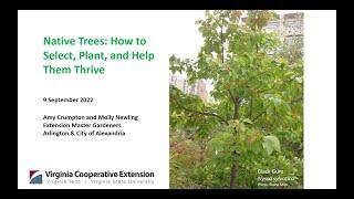 Native Trees: How to Select, Plant, and Help Them Thrive - Updated in 2022