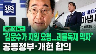 이낙연 "김문수가 지원 요청…공동정부·개헌 추진 합의" / SBS / 바로이뉴스