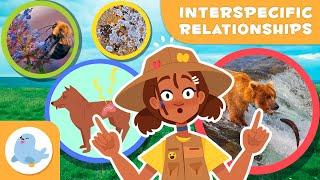 INTERSPECIFIC RELATIONSHIPS for Kids  Predation, Parasitism, Mutualism, Symbiosis 