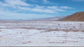 Science Today: Life on the Salt Flats | California Academy of Sciences