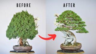 Juniper Bonsai Styling | Bonsai-U