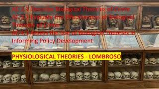 Unit 2 ACs: 2.1, 3.2, 4.1   Biological Theories - Physiological -  Lombroso