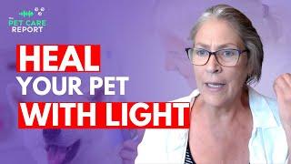 Light Therapy for Pet Healing and Well-being