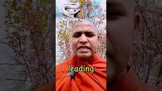 The Snake and the Saw – A Lesson on Anger