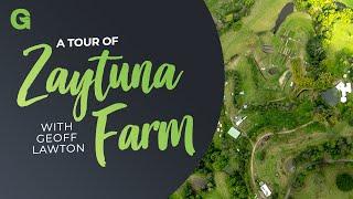 Theory in Practice: A Tour of Zaytuna Farm