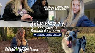 DAILY VLOG 14: Лондон, 2 семестр в универе, выходные загородом  РУМТУР дома