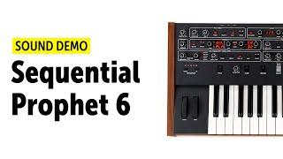 Dave Smith Instruments Sequential Prophet 6 Sound-Demo (no talking)