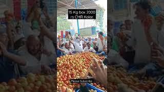 Tomato auction. #tomato #tomatoprices #vegetables #auction #cmrkolar #trending #viral #karnataka