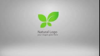 Clean & Professional Logo Animation 52