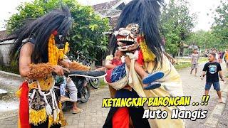 MENGEJEK BARONGAN KETANGKAP !! Arak Arakan barongan Blora dan Reog Ponorogo Singo Kubro Live Pendem