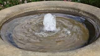 RHS Rosemoor Water Feature