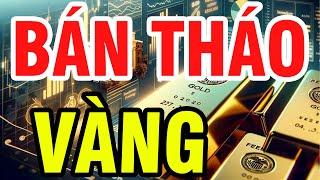 TRADE FOREX || Nhận Định Xu Hướng Giá Vàng Hôm Nay : "VÀNG SỤP ĐỔ" BÁN THÁO VỀ 2500$ !!!