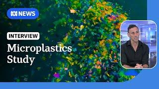 Research concludes microplastics accumulate in the body and may harm reproductive health | ABC News