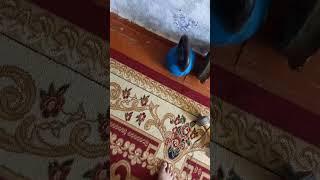 купил магит компани  Joom на 120 кг но магнит не поднимает даже 2 кг,как быть.
