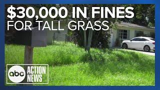 Florida man fined $30k for tall grass settles with Dunedin following yearslong legal battle