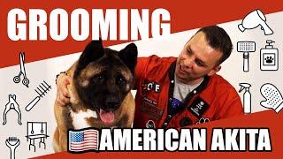 How to groom your Akita | American Akita | Grooming At Home | Ep.10