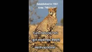 @primarygyanwithpk #Kuno National Park is a national park in Madhya Pradesh#shorts