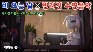 #멍마들  비오는 날의 휴식 강아지의 마음을 편안하게 만드는 음악 - Dog Sleep Time