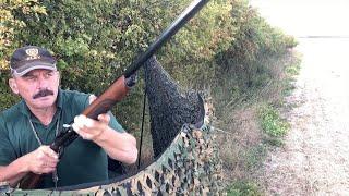 The Shooting Show - pigeon shooting with steel shot and biodegradable wads