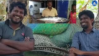 சுவைகளின் அடிப்படையில் முதல் பத்து கடல் மீன்கள் | Top 10 tastiest fishes available in fish market