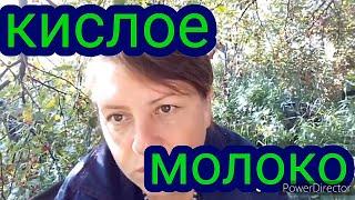 Почему у коровы кислое молоко?