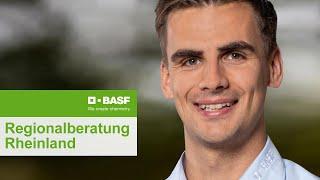 Wachstumsregler Raps Frühjahr – BASF-Regionalberatung Rheinland