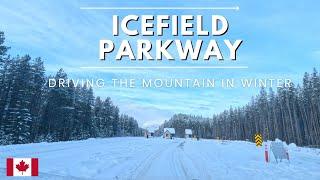 Driving Banff To Jasper at Icefield Parkway Winter Drive : Banff National Park #icefieldsparkway