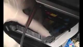 Installation des Dauerdrucksystems (CISS) für Multifunktionsgerät Canon MP540.mp4