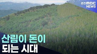 산림이 돈이 되는 시대