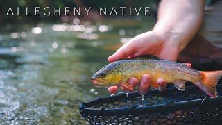 Why We FLY FISH | Poison Ivy, Broken Rods, Deer, and WILD TROUT