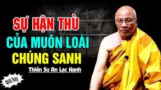 Sự Hận Thù Của Muôn Loài Chúng Sanh  - Thiền Sư An Lạc Hạnh