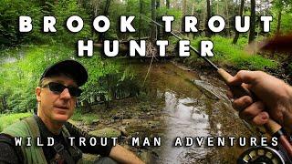 Brook Trout Hunter - Fly Fishing Pennsylvania Mountain Stream