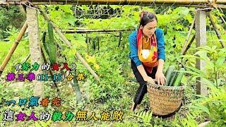 一口氣看完，這女人的毅力無人能敵《努力的女人》第三季（11-15）合集