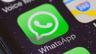 WhatsApp保密性太強了！犯罪分子最愛