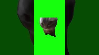 Chipi Chipi Chapa Chapa Cat | Green Screen