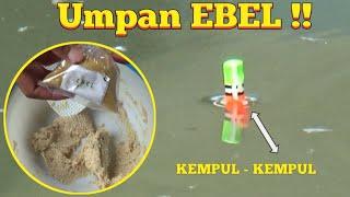 Umpan EBEL Simpel Cuma 15 ribu Ikan Makanin Angeut !! Umpan Ikan Mas