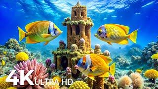 4K Amazing Aquarium for Relaxation  Relaxing Oceanscapes - Sleep Meditation 4K UHD Screensaver #7