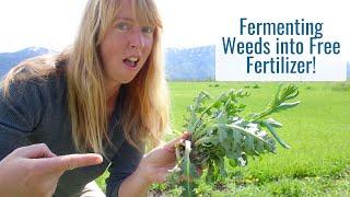 Fermenting Weeds into Free Fertilizer for the Garden & Orchard, Use Everything & Save Money!