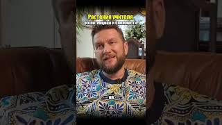 Растения учителя их потенциал и сложности #психология #силасознания