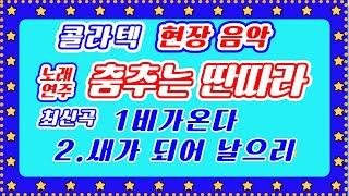  (최신곡) 춤추는 딴따라   콜라텍 현장음악  콜라텍 카바레 무도장 음악메들리.리듬댄스.사교댄스.통합리듬짝.리듬짝.사박잔발