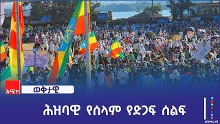 በአማራ ክልል በተለያዩ ከተሞች ሕዝባዊ የሰላም የድጋፍ ሰልፍ እየተካሄደ ነው