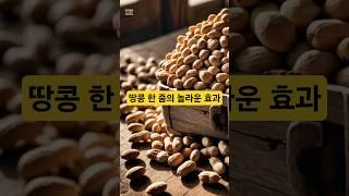 땅콩을 먹어야 하는 이유 #건강 #음식 #건강정보 #shorts #땅콩 # 건강식품 #다이어트간식 #땅콩효능