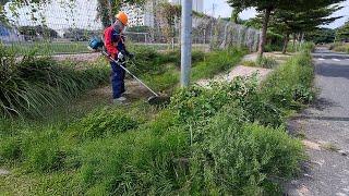 Cleaning OVERGROWN GRASS around the SPORTS FIELD SIDEWALK led to an AMAZING TRANSFORMATION.