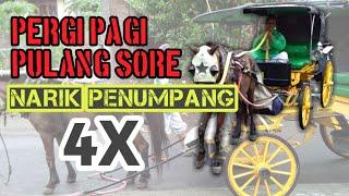 Kusir Andong - pergi pagi pulang sore 1 andong wisata