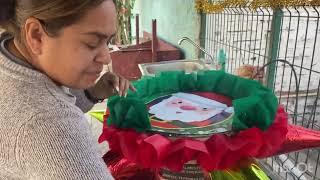 Así quedaron 20 piñatas de tambor listas para la venta #video #losmochis #posadas #posadas